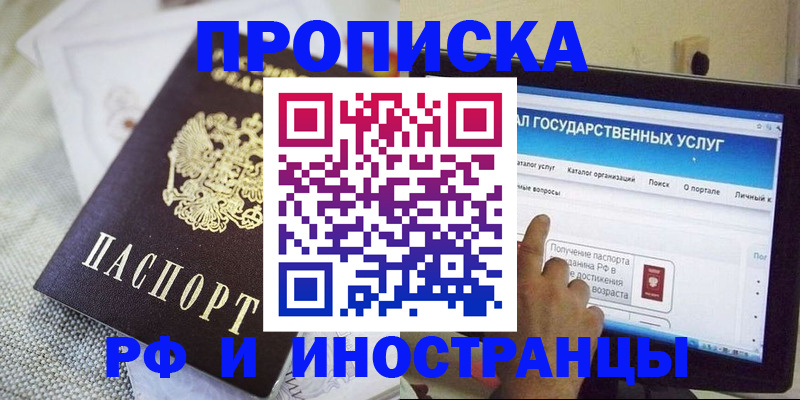 прописка законно в Мурманске